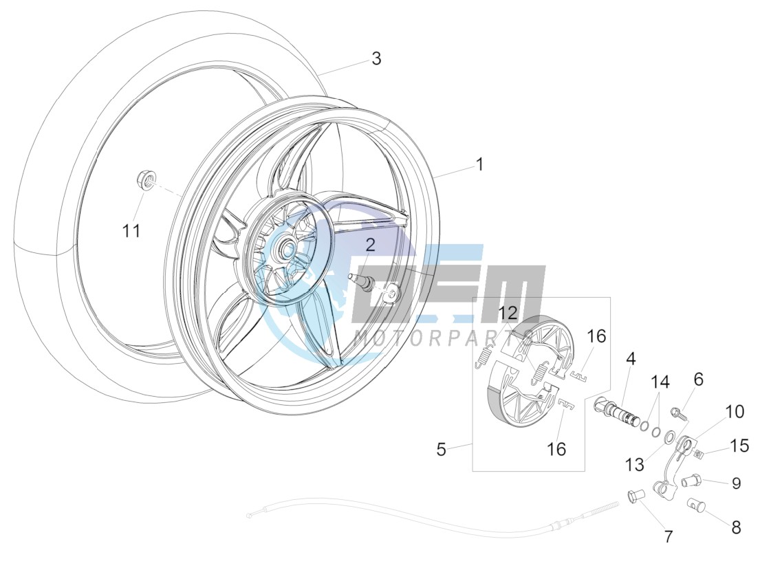 Rear wheel - drum brake