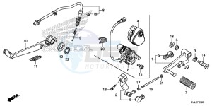 NC750SAE NC750SA ED drawing PEDAL