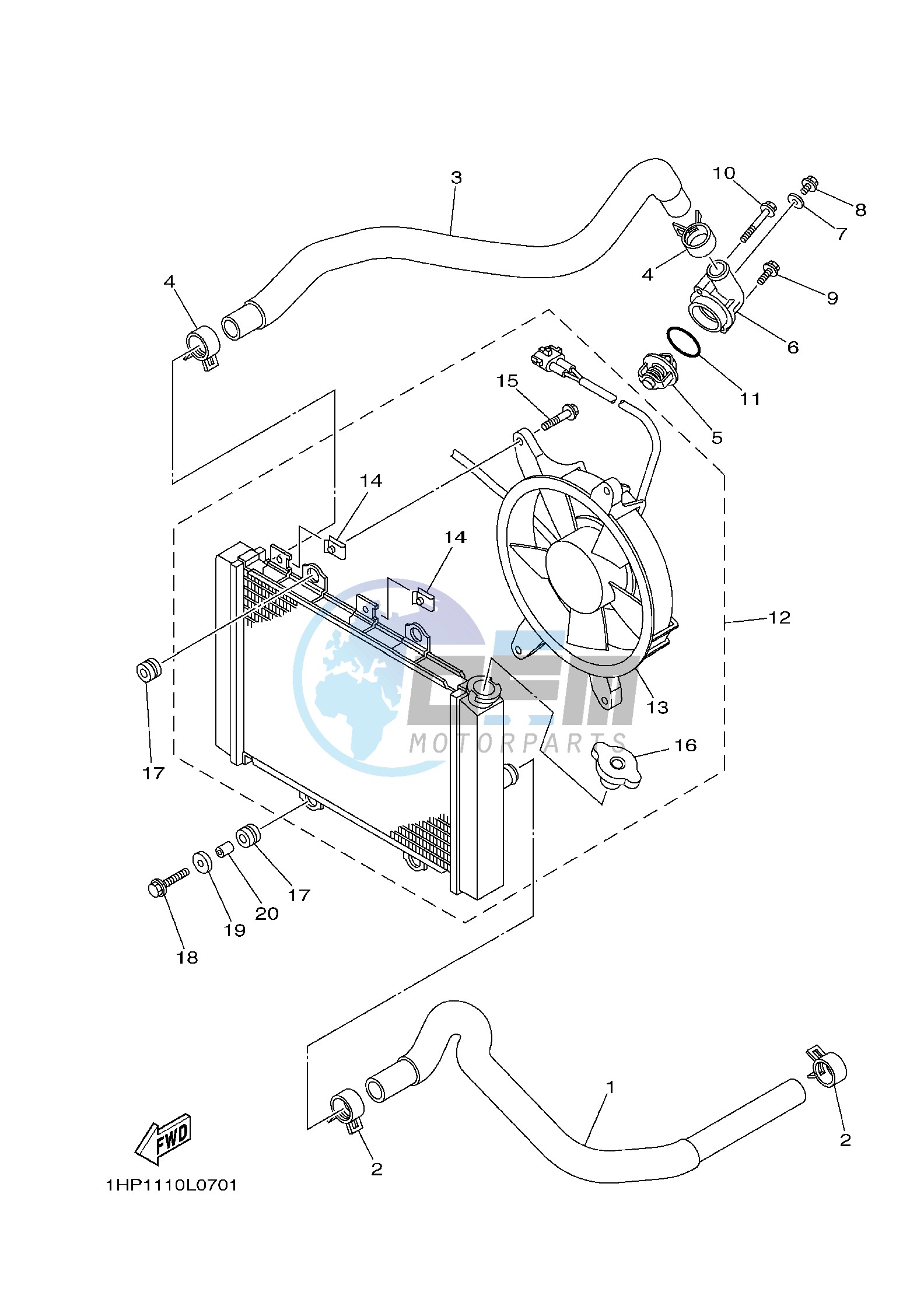 RADIATOR & HOSE