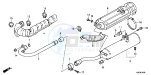 TRX500FPED TRX500FPE ED drawing EXHAUST MUFFLER