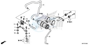 CBR1000S1H 2ED - (2ED) drawing CANISTER