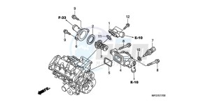 CB600F9 France - (F / CMF 25K) drawing THERMOSTAT