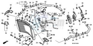 CBR600RR9 UK - (E / MME SPC 3E) drawing RADIATOR