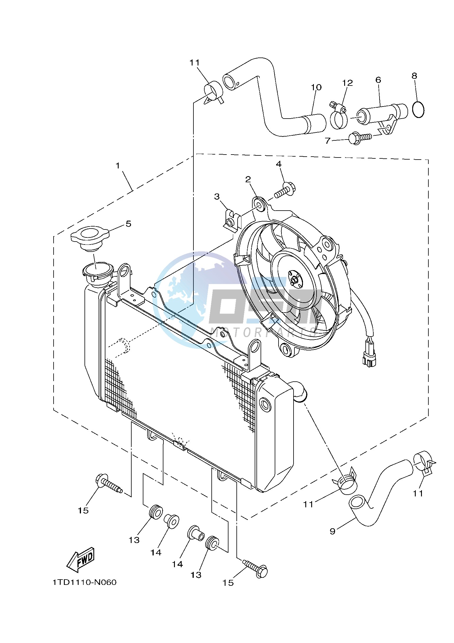 RADIATOR & HOSE