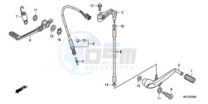 CBR1000RR9 Australia - (U / SPC) drawing PEDAL