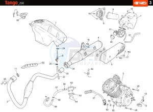 TANGO-250-GREY drawing HOSE CONNEXIONS TANKS