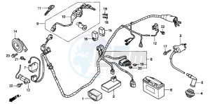 SFX50 drawing WIRE HARNESS/ IGNITION COIL/BATTERY