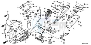 VFR1200FDC VFR1200F Dual Clutch E drawing EXHAUST MUFFLER