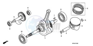 TRX500FM9 Australia - (U) drawing CRANKSHAFT/PISTON