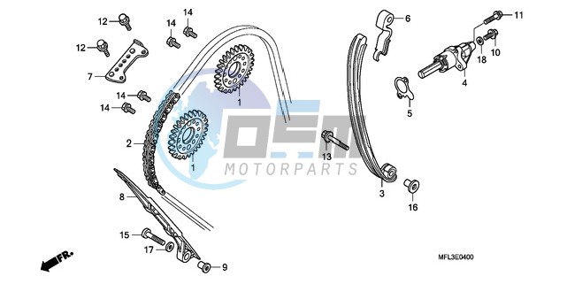 CAM CHAIN/TENSIONER