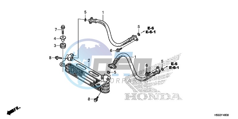 OIL COOLER