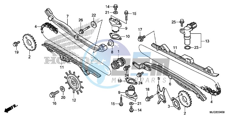 CAM CHAIN/ TENSIONER