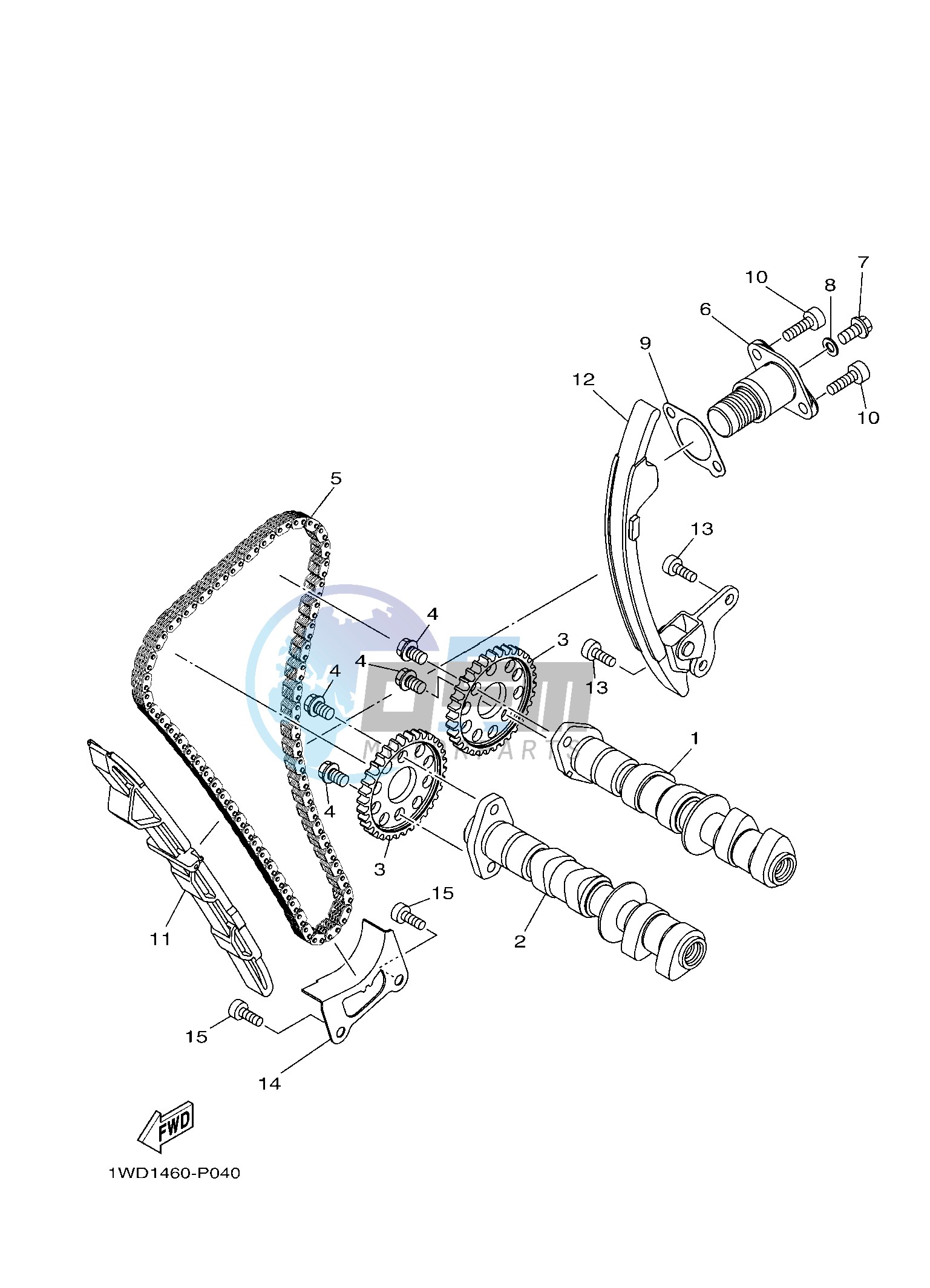 CAMSHAFT & CHAIN