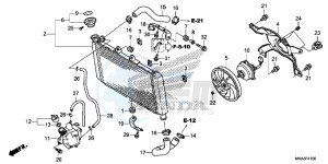 NC750XAG NC750X Europe Direct - (ED) drawing RADIATOR