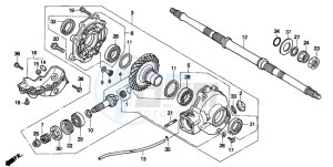 TRX300FW FOURTRAX drawing FINAL DRIVEN GEAR