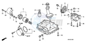 CBF1000SA France - (F / ABS CMF) drawing OIL PAN/OIL PUMP