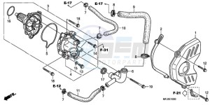 CBR600RRA F / CMF drawing WATER PUMP