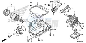 VFR1200XF CrossTourer - VFR1200X 2ED - (2ED) drawing OIL PUMP (VFR1200X/ XA/ XL)