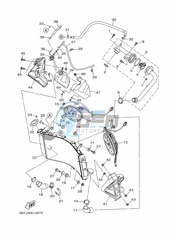 RADIATOR & HOSE