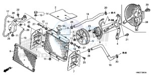 TRX680FAG Wave 110 - AFS110 UK - (E) drawing RADIATOR