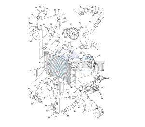 YZF R6 600 drawing RADIATOR AND HOSE