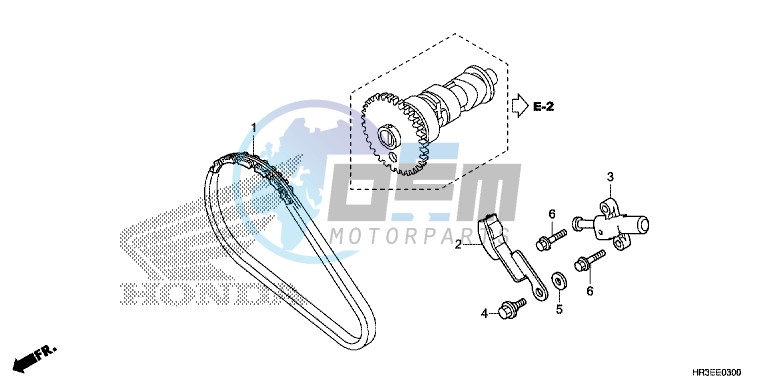 CAM CHAIN/TENSIONER