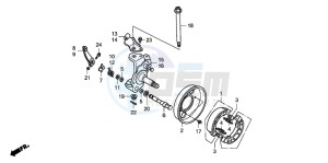 TRX90EX SPORTRAX90 drawing KNUCKLE/FRONT BRAKE PANEL