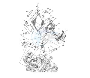 XTZ SUPER TENERE 1200 drawing RADIATOR AND HOSE