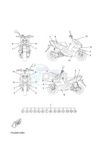 NS50N NITRO NAKED (1PL2 1PL2) drawing GRAPHIC & EMBLEM