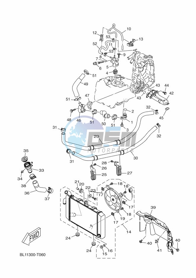 RADIATOR & HOSE