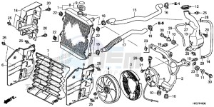 TRX420FM1G TRX420 Europe Direct - (ED) drawing RADIATOR