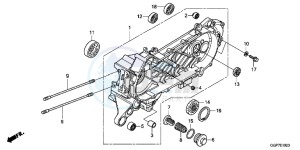 NSC50WHC drawing LEFT CRANKCASE