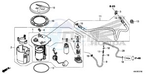 TRX500FE1F TRX500F Europe Direct - (ED) drawing FUEL PUMP