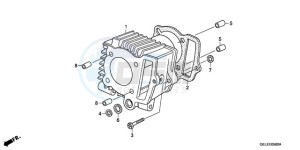 CRF50F9 Australia - (U) drawing CYLINDER