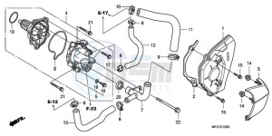 CB600F39 Australia - (U / ST) drawing WATER PUMP