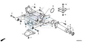 TRX420FE1E TRX420 Europe Direct - (ED) drawing SWINGARM