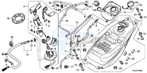 NC750SDE NC750SD Europe Direct - (ED) drawing FUEL TANK/ FUEL PUMP