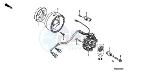 TRX250XC drawing GENERATOR