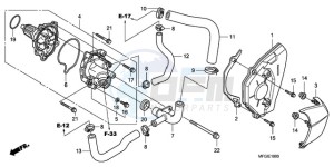 CB600F3A UK - (E / MKH ST) drawing WATER PUMP