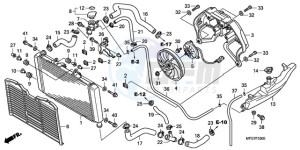 CB600FA9 UK - (E / ABS MKH) drawing RADIATOR