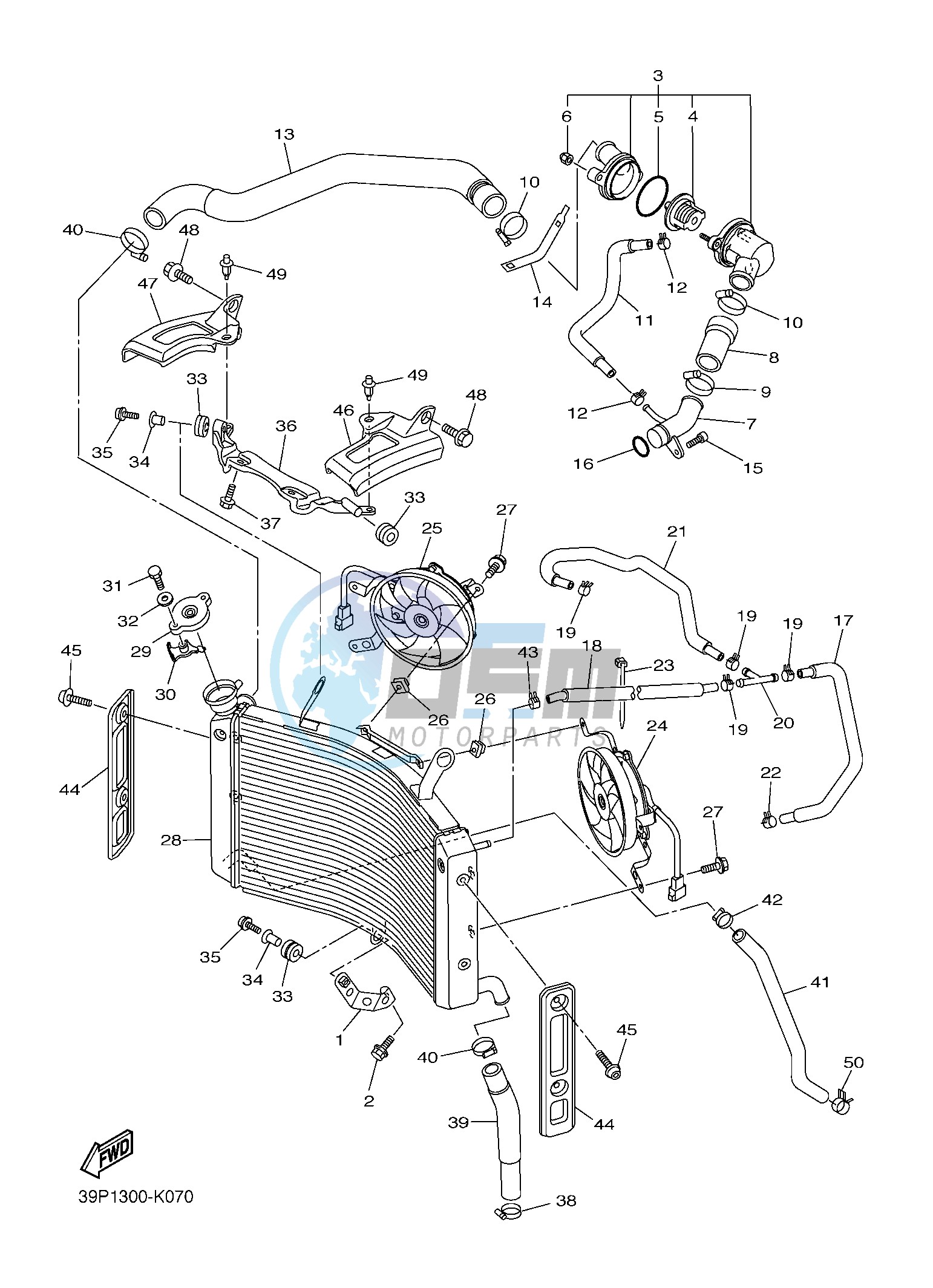 RADIATOR & HOSE