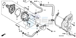 CBR600RR9 France - (F / CMF SPC) drawing WATER PUMP