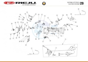 BYE-BIKE-25-KM-H-EURO4-HOLLAND-GREY drawing ELECTRICAL