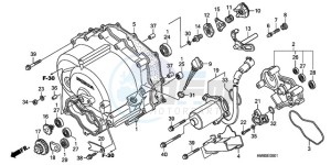 TRX250TEA Australia - (U / EC) drawing FRONT CRANKCASE COVER (TRX250TE)