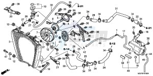 CBR1000RRE Fireblade 2ED drawing RADIATOR