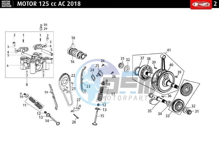 CAMSHAFT - CHAIN - CRANKSHAFT