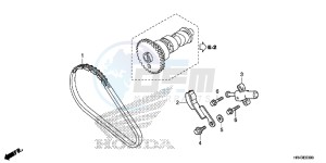 TRX500FE1F TRX500F Europe Direct - (ED) drawing CAM CHAIN/TENSIONER