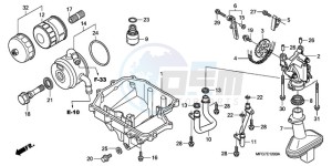 CB600FA39 France - (F / ABS CMF ST 25K) drawing OIL PAN/OIL PUMP