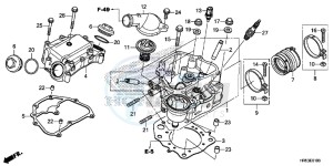 TRX500FM5G TRX500FM Australia - (U) drawing CYLINDER HEAD