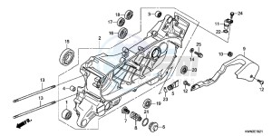 WW125EX2C drawing LEFT CRANKCASE (WW125EX2C/EX2D/EX2E/D)